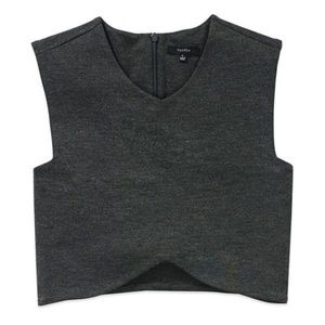 EUC Aritzia Manzanita Structured Grey Crop Tank